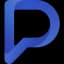 Prime Surveys logo