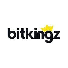 Bitkingz [DE]  (copy) icon