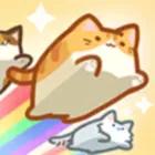 Box Cat Jam icon