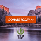 Sierra Club icon