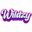 Widzy Casino icon